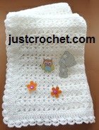 Shawl with a Cluster Edging USA